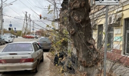 В Астрахани полицейские продолжают находить правонарушителей, мониторя соцсети