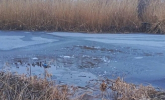 В Астрахани супруги не дали утонуть двум детям