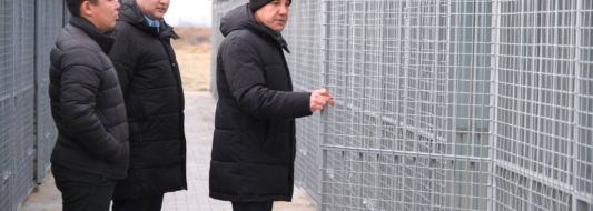 пункт временного содержания Началово