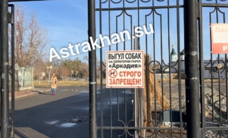 Астраханцам рассказали, где можно выгуливать собак