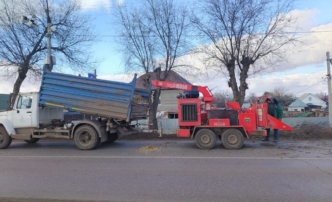 В Астрахани приводят в порядок деревья