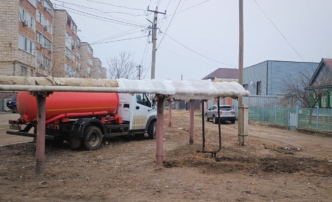 В Астраханской области зоозащитники организовали «собачий городок»