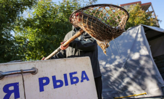 В Астрахани могут запретить вылавливать щуку и сома