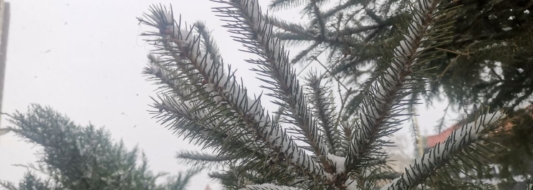 снег погода