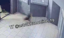 Астраханец ответит за жестокое обращение с собакой пнул собаку