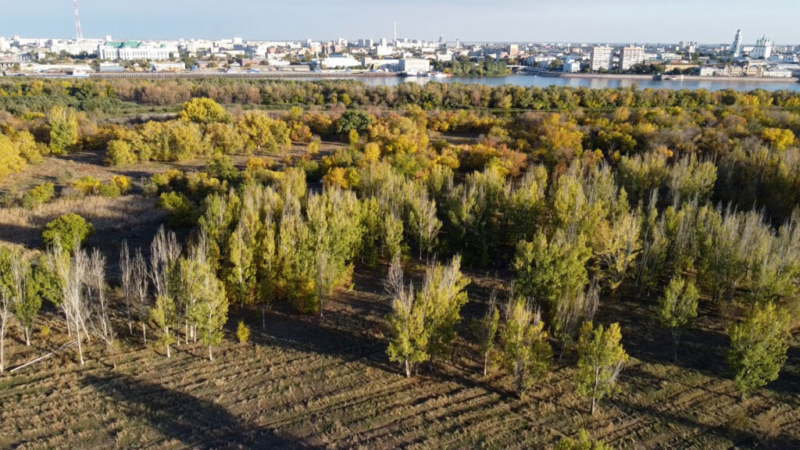Городской остров
