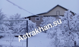 Снег в Астраханской области: фестиваль тюльпанов под угрозой Снег в Астраханской области: фестиваль тюльпанов под угрозой