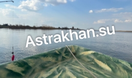 В Астраханской области туристов заманивают на рыбалку на запрещенную воблу В Астраханской области туристов заманивают на рыбалку на запрещенную воблу