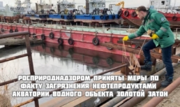 В Астрахани неизвестные загрязнили реку нефтепродуктами В Астрахани неизвестные загрязнили реку нефтепродуктами