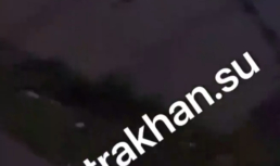 Астраханцы стали все чаще сталкиваться с крысами и ежами на улицах города Астраханцы стали все чаще сталкиваться с крысами и ежами на улицах города