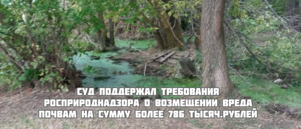загрязнение почвы