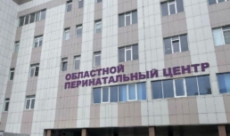 перинатальный центр
