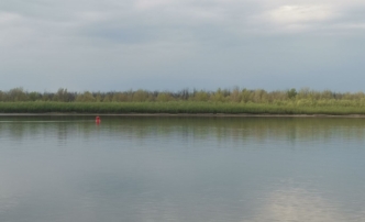 Волга вода река паводок