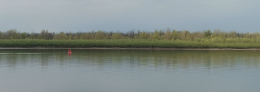 Волга вода река паводок