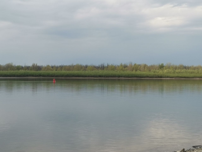 Волга вода река паводок