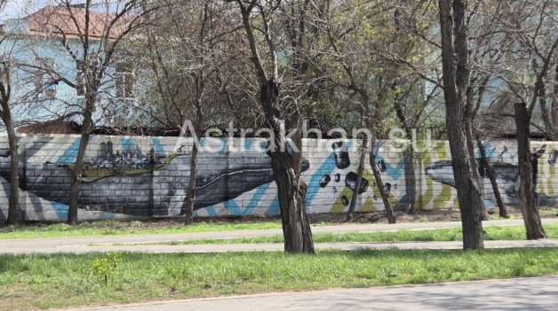 стрит-арт в Астрахани