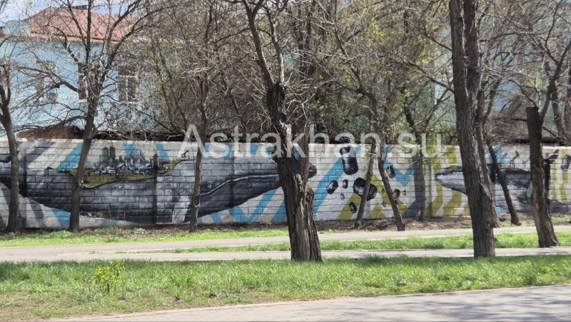 стрит-арт в Астрахани