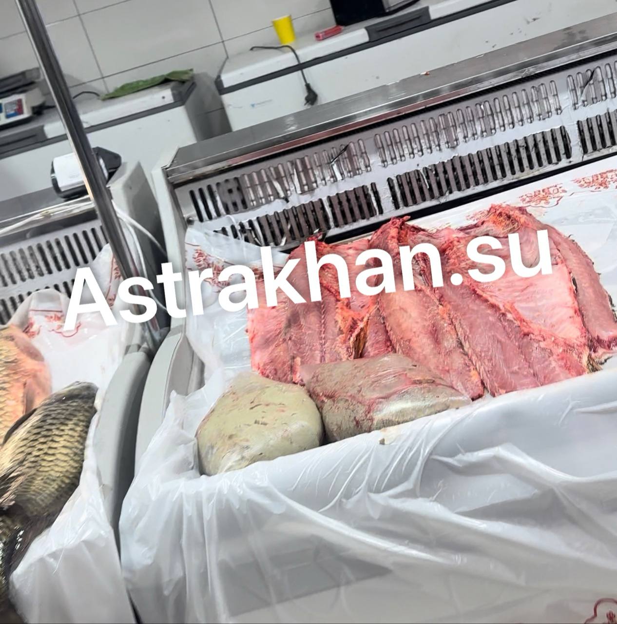 Что происходит с ценами на сазанью икру в Астрахани?