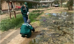 В Астрахани улицу Николая Островского залили канализационными водами В Астрахани улицу Николая Островского залили канализационными водами