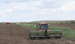 В Астраханской области готовятся переработать рекордный урожай риса В Астраханской области готовятся переработать рекордный урожай риса