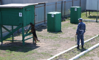 В Астрахани служебные собаки соревновались в мастерстве