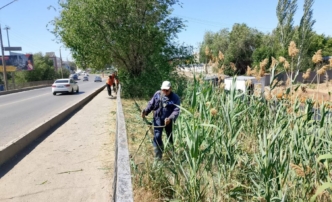 В Астрахани активно выкашивают сухостой