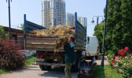 В Астрахани за выходные дни расчистили 62 свалки В Астрахани за выходные дни расчистили 62 свалки