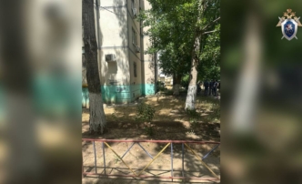 выпала из окна
