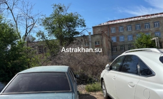 Астраханцы опасаются, что сгорят их авто из-за огромной кучи сухих веток во дворе пятиэтажек