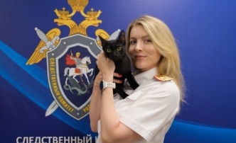 Спасти Филю: жизнь на полосе встречного движения