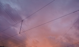 23 августа в Астрахани будет солнечно