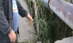 Астраханец убил приятеля и вывез тело на велосипеде к ерику Астраханец убил приятеля и вывез тело на велосипеде к ерику