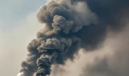 В Астрахани начали действовать программы охраны природы В Астрахани начали действовать программы охраны природы