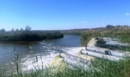 В Астраханской области стартовала подкачка воды в пересыхающие ильмени В Астраханской области стартовала подкачка воды в пересыхающие ильмени