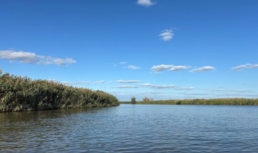 В понедельник в Астрахани сохранится теплая погода В понедельник в Астрахани сохранится теплая погода