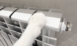 Стало известно когда в Астрахани дадут отопление Стало известно когда в Астрахани дадут отопление