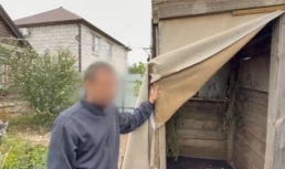 Астраханец устроил в частном дворе плантацию конопли