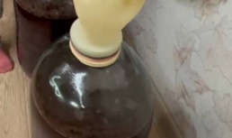 Октябрь – время ставить вино: пять главных правил