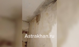 Плесень, протечки и равнодушие чиновников: жители многоквартирного дома в Нариманове на грани выживания