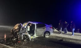 В Астраханской области корова спровоцировала смертельное ДТП