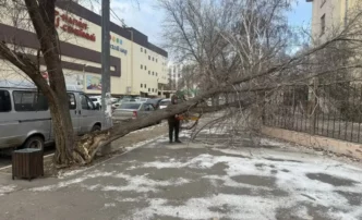 В Астрахани сильный ветер валит деревья