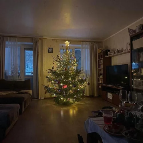 новогодняя елка