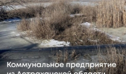 В Астраханской области МБУ загрязнило почву на 840 тысяч рублей