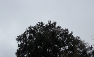 28 декабря в&nbsp;Астраханской области ожидается переменная облачность