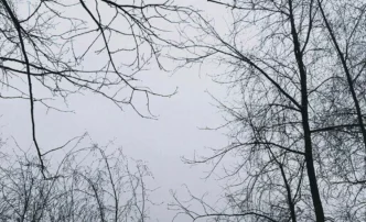 11 декабря погода в Астрахани ударит по нулям