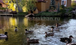 Туристический налог Астрахань