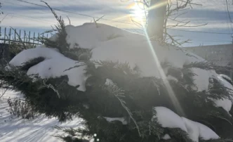 21 января в&nbsp;Астрахани потеплеет, но мороз сохранится