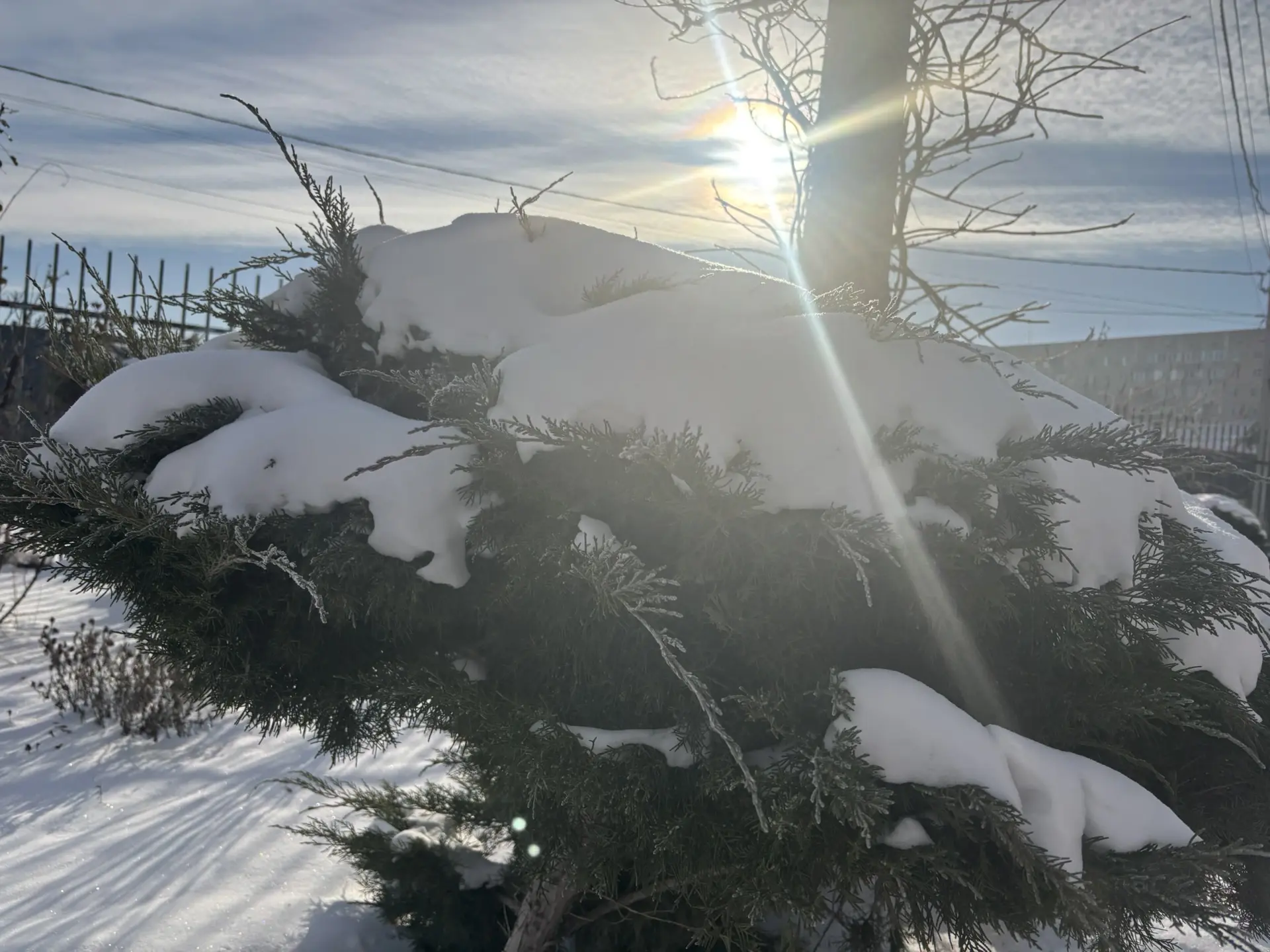 21 января в Астрахани потеплеет, но мороз сохранится