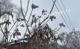 В Астрахани 26 января буде морозно