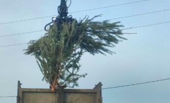 Выбросить ель